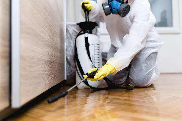 Pest Control Cost in Tyro, NC